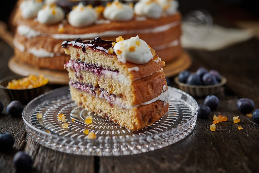 Lemon & Blueberry Cake (VEGAN)