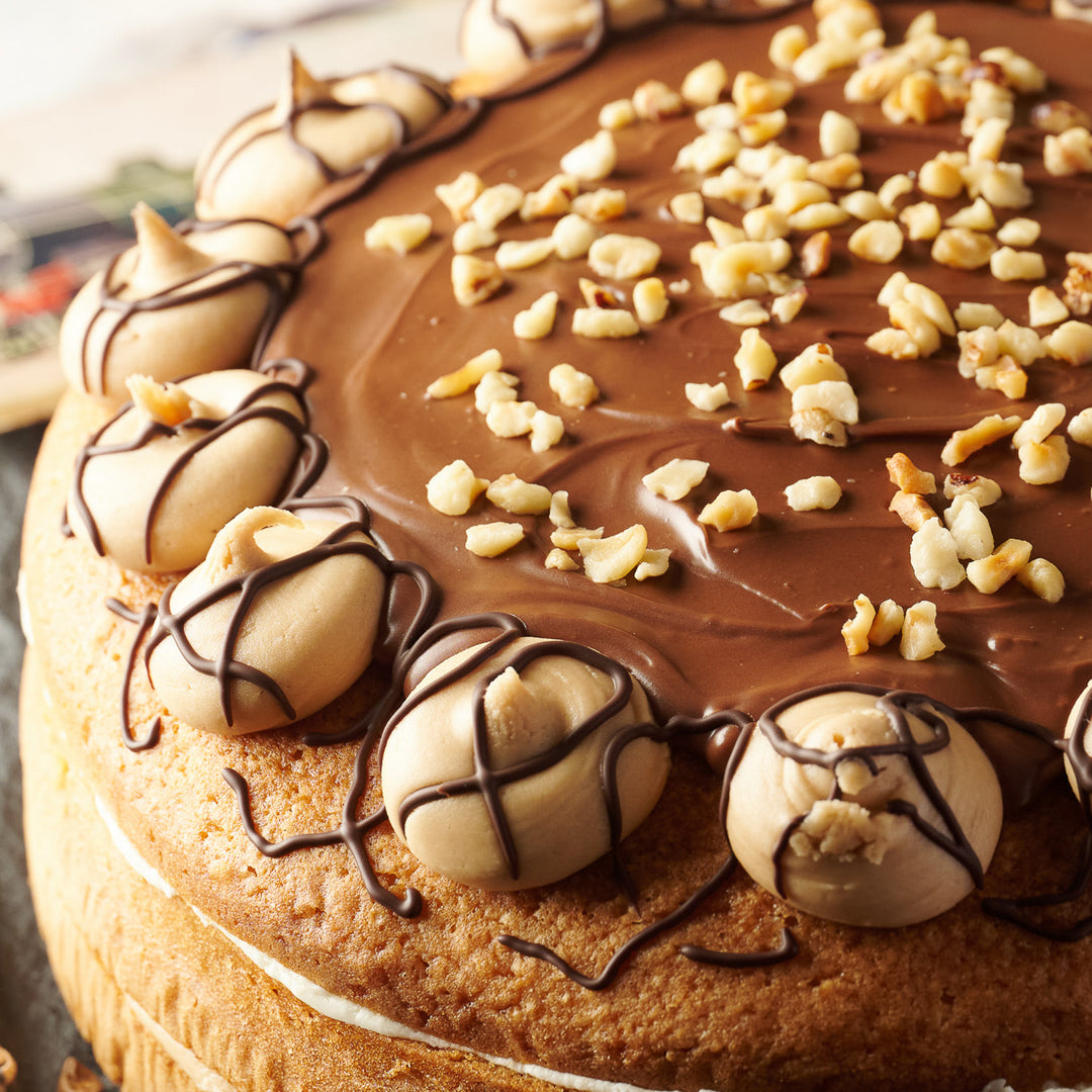 Hazelnut Cappuccino Cake