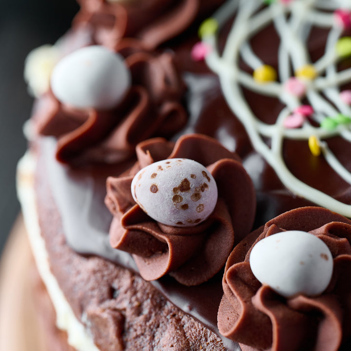 Spring Chocolate Nest Cake